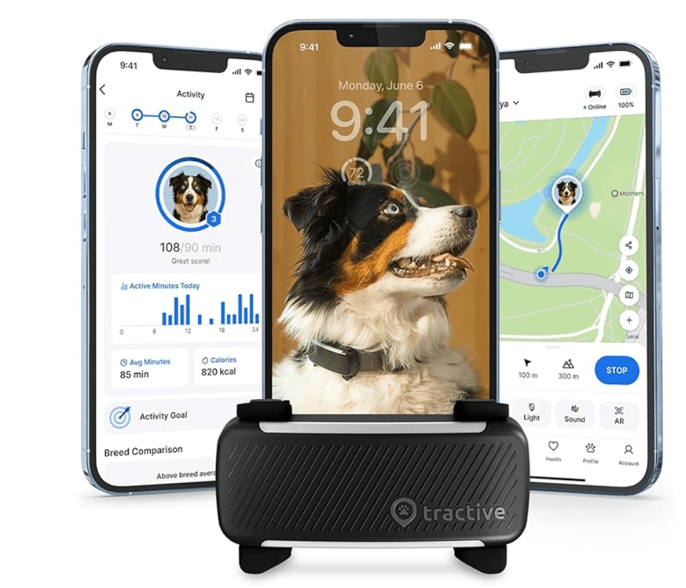Rastreador de mascotas en vivo con valla virtual.