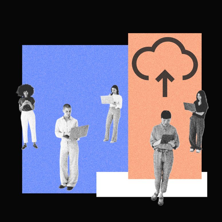 Adulto, Persona, Personas, Artes Marciales, Deporte, Ropa, Pantalones, Cara y Cabeza