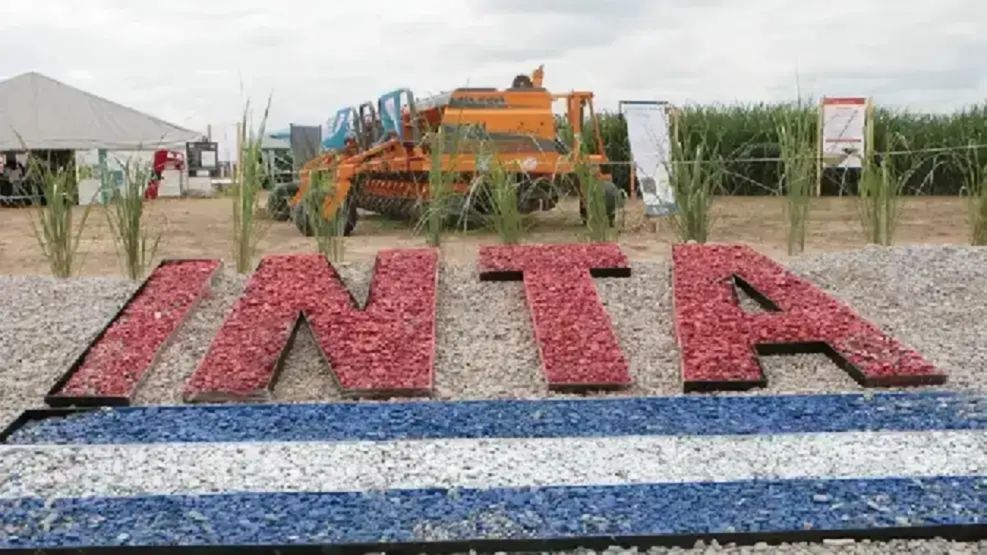 Cierran una sede del INTA clave para la industria láctea porque todos sus técnicos y profesionales adhirieron al plan de retiros voluntarios del Gobierno
