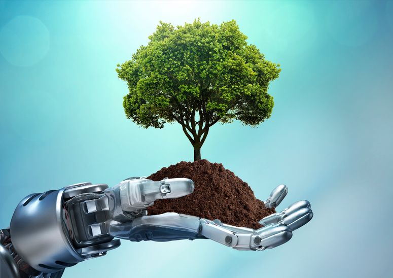 IA biodiversidad