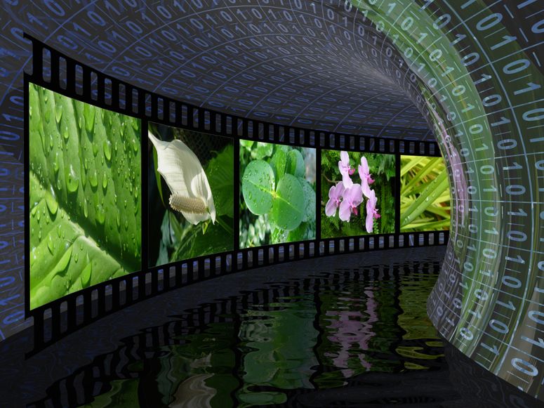 Rollo de película con imágenes en color (naturaleza) en un túnel.