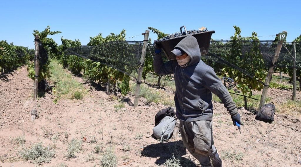 Sin acuerdo, la federación vitivinícola acusó a los empresarios del vino de "tacaños" e inicia asambleas